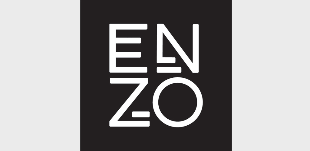 Enzo logo